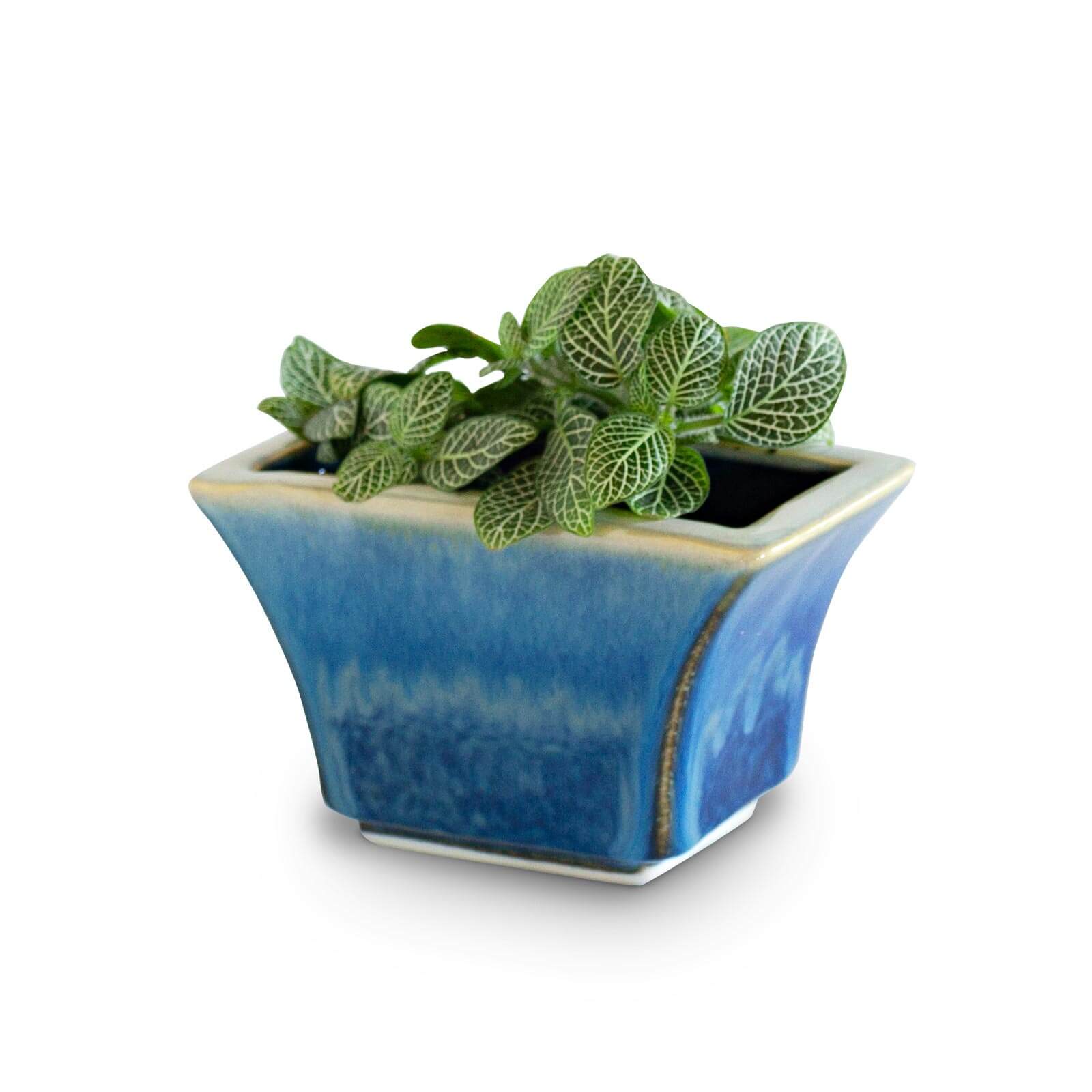 Handmade Pottery Windowsill Planter in Cobalt pattern made by Olyssia Designs LLC  in US