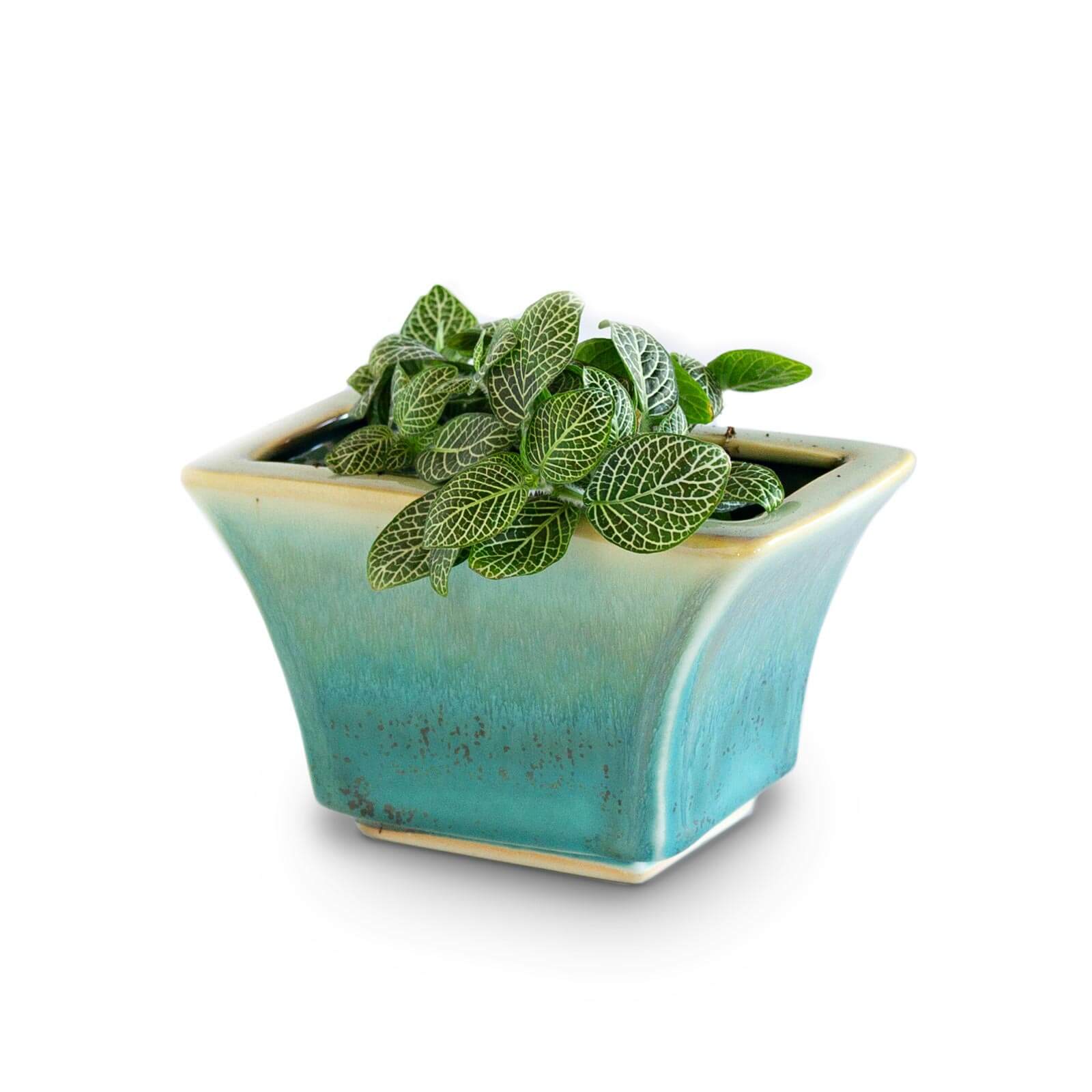 Handmade Pottery Windowsill Planter in Green Oribe pattern made by Olyssia Designs LLC  in US