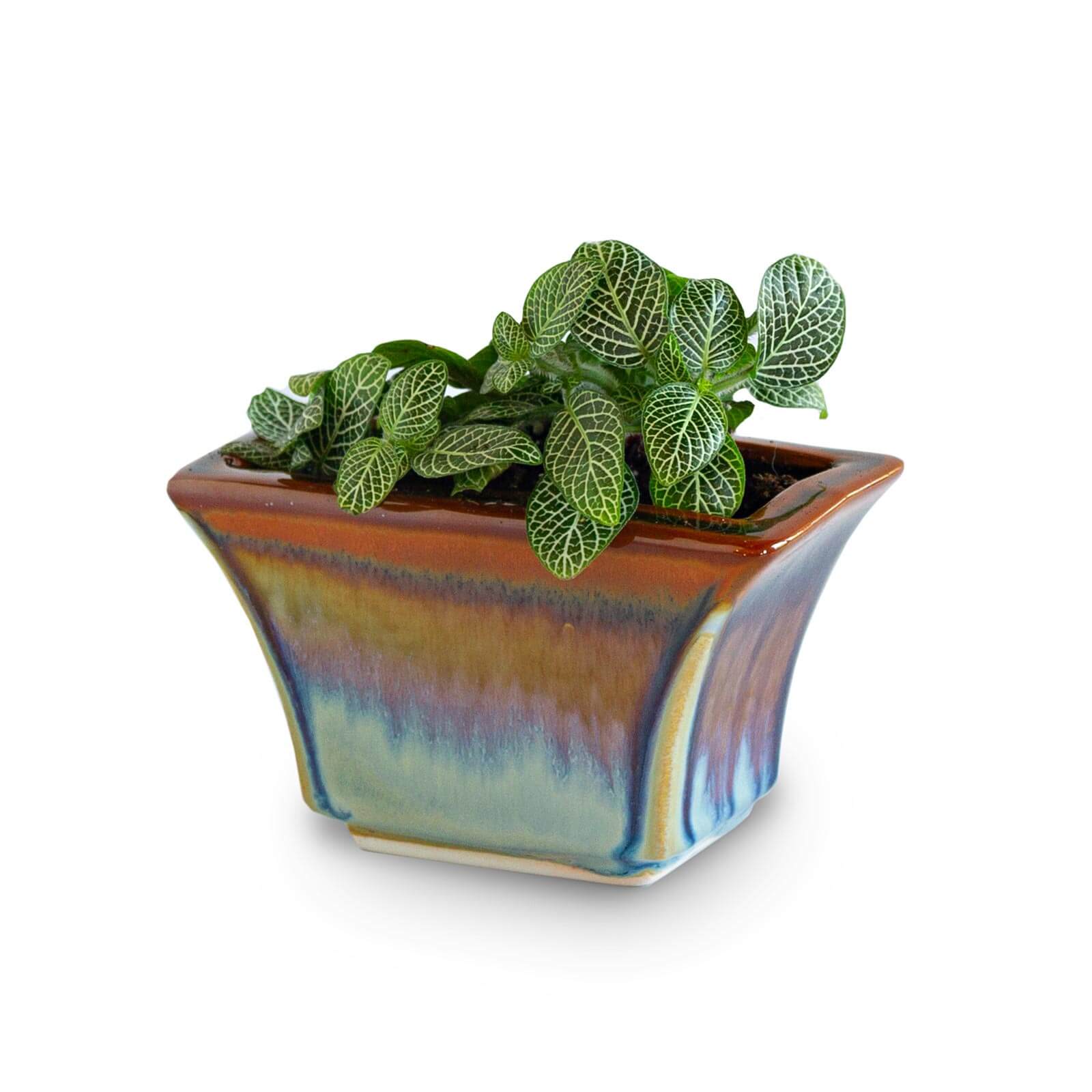 Handmade Pottery Windowsill Planter in Purple Hamada pattern made by Olyssia Designs LLC  in US