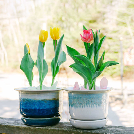 Handmade Pottery Ring Planters made by Olyssia Designs LLC  in US
