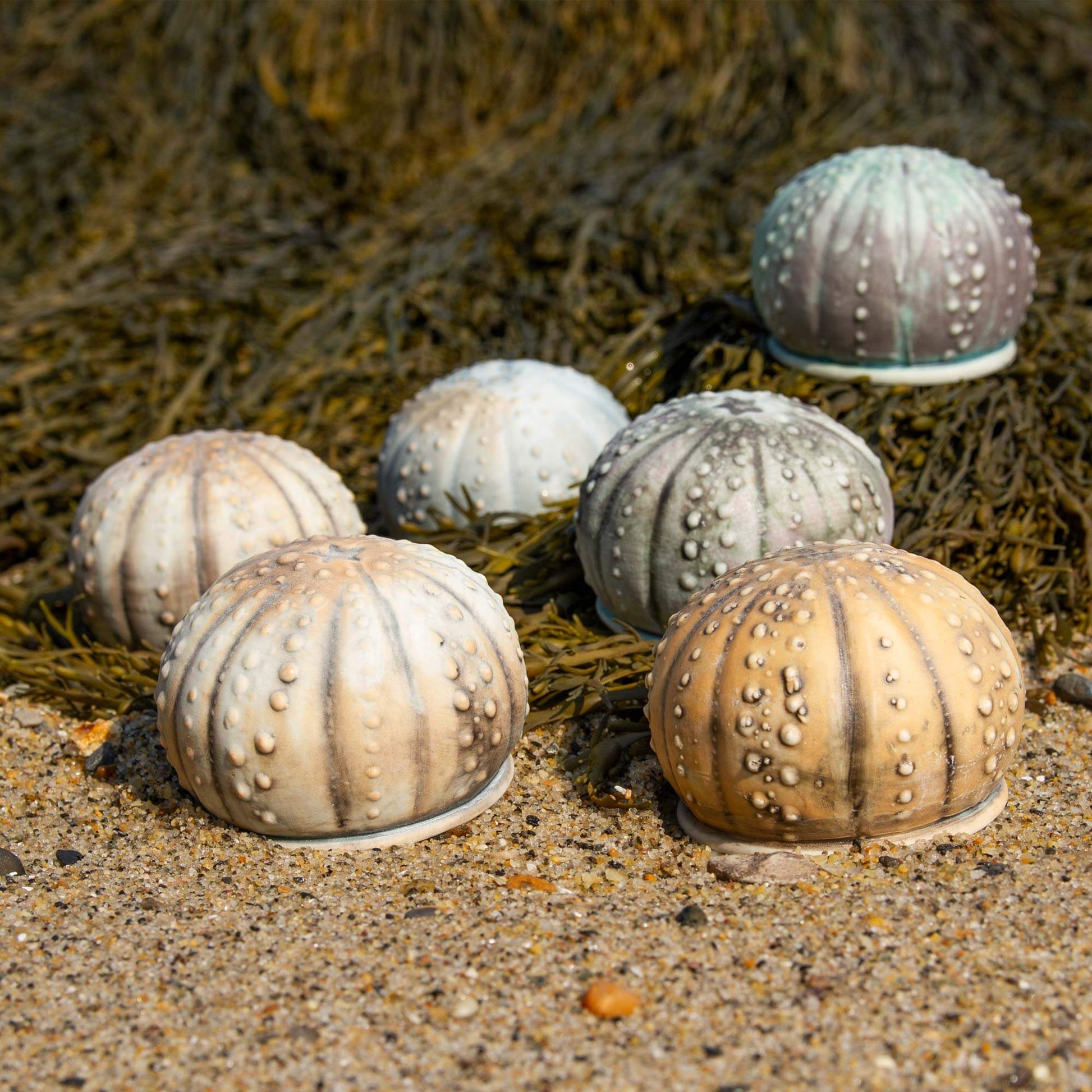 Handmade Salt Urchin Salt Shaker made by Olyssia Designs LLC  in US