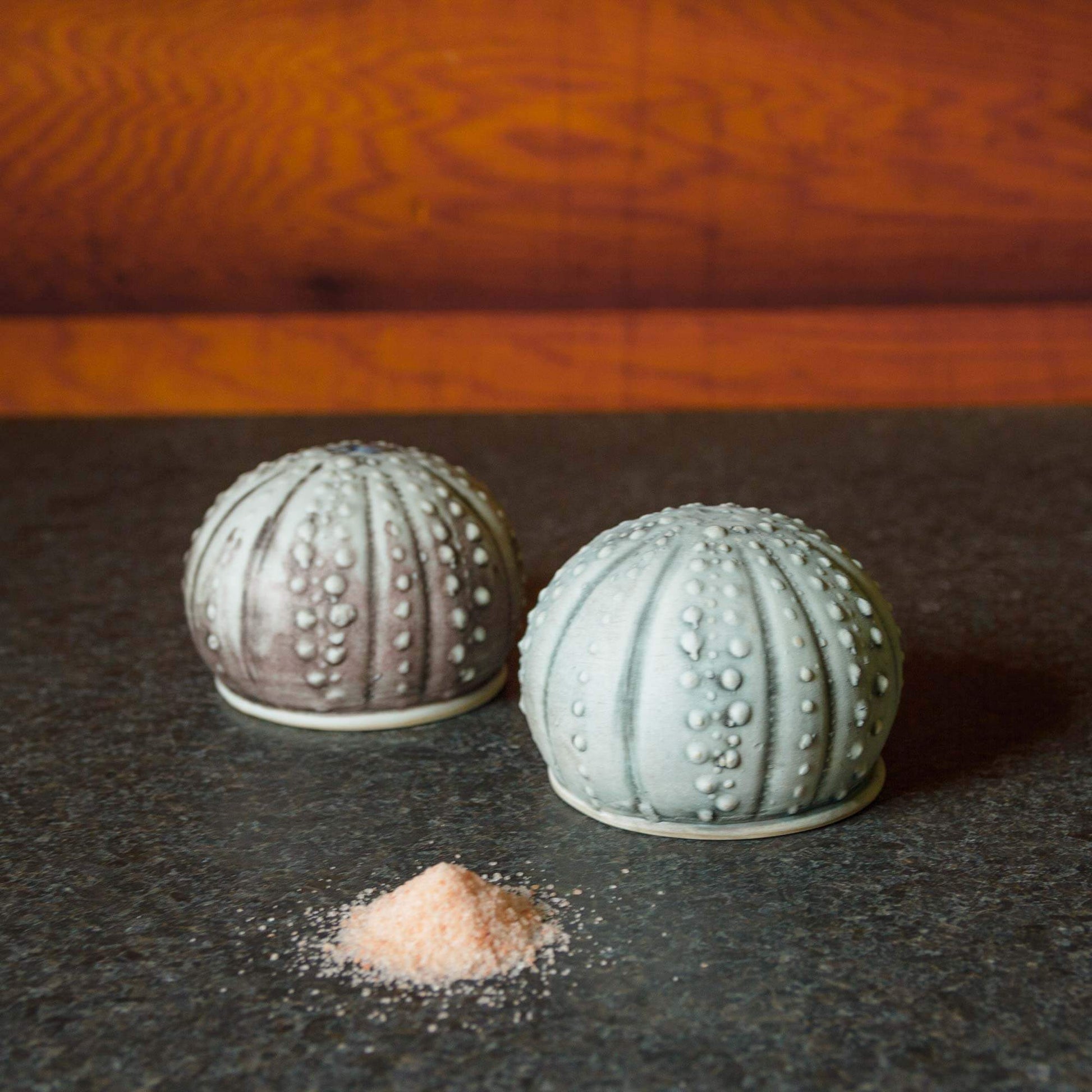 Handmade Salt Urchin Salt Shaker made by Olyssia Designs LLC  in US
