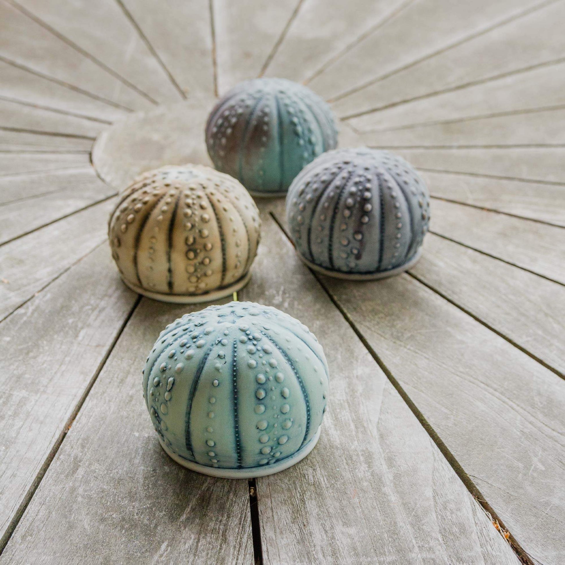 Handmade Salt Urchin Salt Shaker made by Olyssia Designs LLC  in US