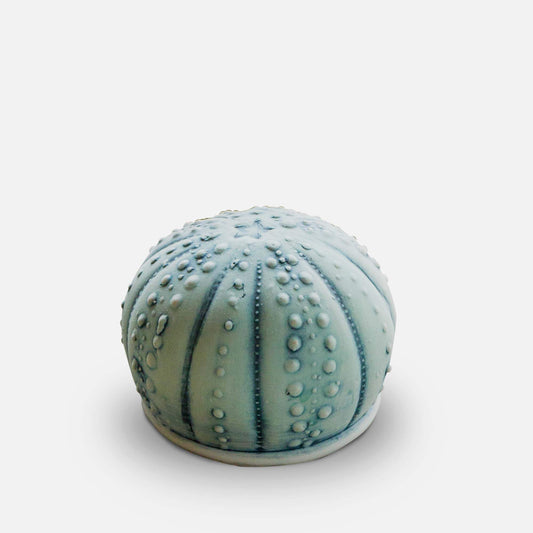 Handmade Salt Urchin Salt Shaker made by Olyssia Designs LLC  in US
