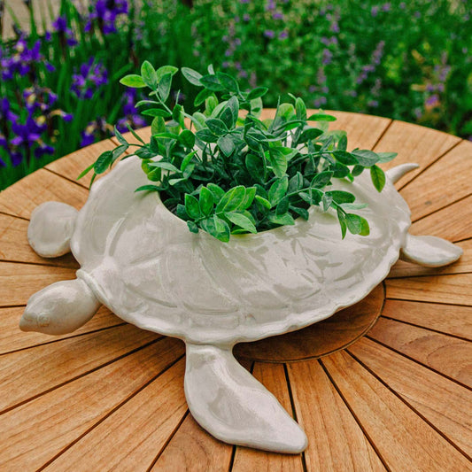 Handmade Pottery Turtle Sculpture Planter in Ivory glaze made by Olyssia Designs LLC  in US