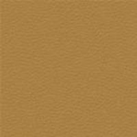 24 Longlife Rustika Kuerbis