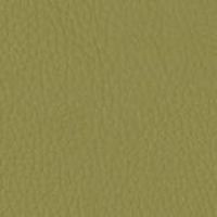 24 Longlife Rustika Olive