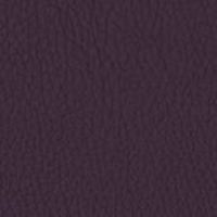 24 Longlife Rustika Purple