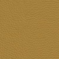 24 Longlife Rustika Safran