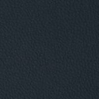 31 Longlife Soft Blue