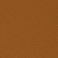 33 Longlife Soft Walnuss