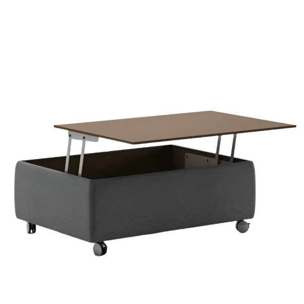 Luonto Functional Coffee Table