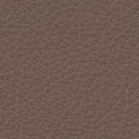 Paloma Dark Mushroom